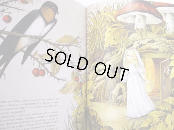 画像4: バグラム・イバトーリーン:絵 ハンス・クリスチャン・アンデルセン:著 / 親指姫 (4)