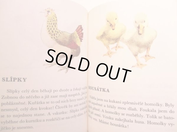 画像4: イジー・トゥルンカ Jiri Trnka:絵 Vitezslav Nezval:著 / Veci, kvetiny, zviratka a lide pro deti <チェコ絵本> (4)