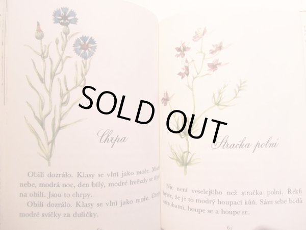 画像3: イジー・トゥルンカ Jiri Trnka:絵 Vitezslav Nezval:著 / Veci, kvetiny, zviratka a lide pro deti <チェコ絵本> (3)