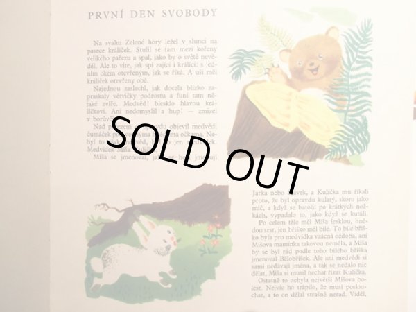 画像2: イジー・トゥルンカ JIRI TRNKA:絵 JOSEF MENZEL:著 / Misa Kulicka v rodnem lese <チェコ絵本> (2)