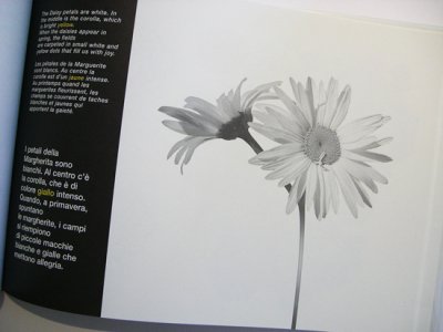 画像3: Luigi Veronesi:絵 Giampiero Rigosi:著 / I FIORI