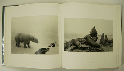 画像2: HIROSHI SUGIMOTO （杉本博司）