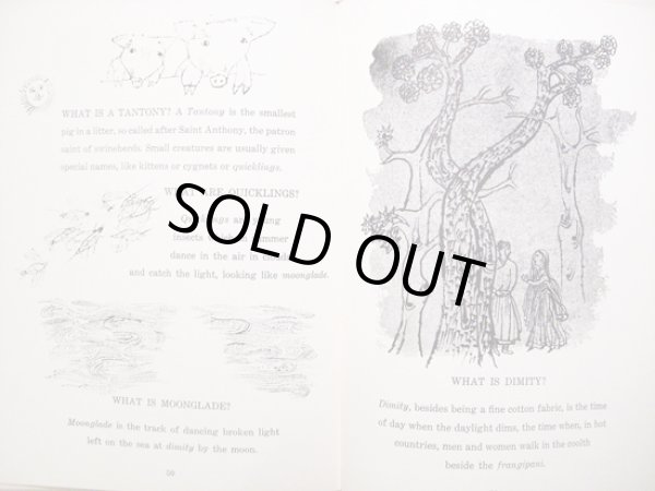 画像4: ベン・シャーン BEN SHAHN:絵 ALASTAIR REID:著 / OUNCE DICE TRICE (4)