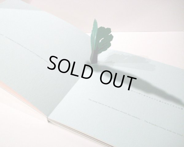 画像3: 駒形克己 / Little tree  (3)