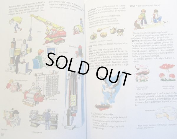 画像2: Szecsko Tamas, Szecsko Agnes:絵　Merei Ferenc, Binet Agnes:著 / ablak zsiraf (2)