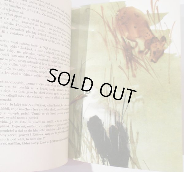 画像3: ミルコ・ハナーク Mirko Hanak:絵  Jaromir Tomecek:著 / ADMIRAL NA DYJI <チェコ絵本> (3)