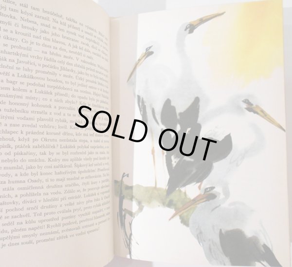 画像4: ミルコ・ハナーク Mirko Hanak:絵  Jaromir Tomecek:著 / ADMIRAL NA DYJI <チェコ絵本> (4)