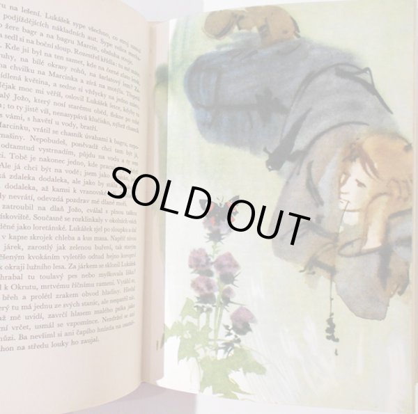 画像5: ミルコ・ハナーク Mirko Hanak:絵  Jaromir Tomecek:著 / ADMIRAL NA DYJI <チェコ絵本> (5)