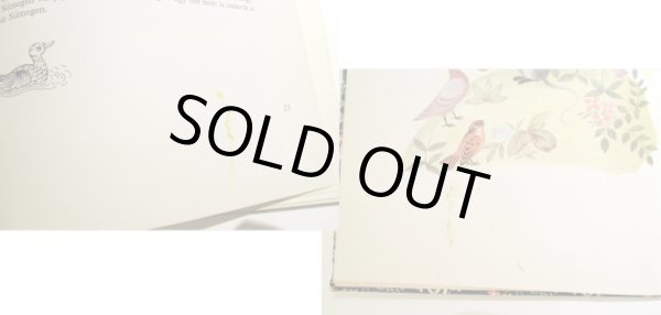 画像4: ルカーチ・カトー K. Lukats Kato:絵 / Anyukam kepeskonyve (4)