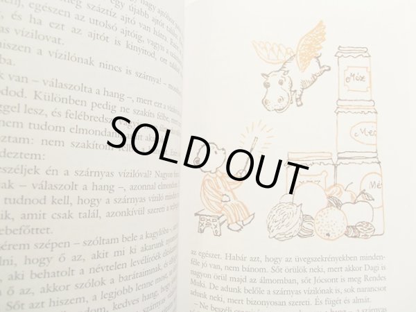 画像3: Szavay Edit:絵 Bodo Bela:著 / Brumi mint detektiv (3)