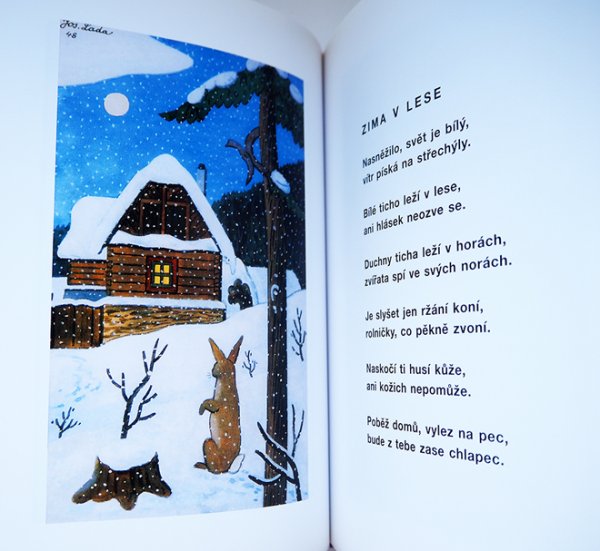 画像5: ヨゼフ・ラダ Josef Lada:絵 Jiri Zacek:著 / Cary mary fuk, at jsem zase kluk! ＜チェコ絵本＞ (5)