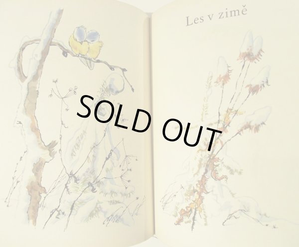 画像6: カレル・スヴォリンスキーKarel Svolinsky:絵 Karel Plicka, Frantisek Volf:著 /  Cesky rok Zima (チェコの四季 - 冬) <チェコ絵本> (6)