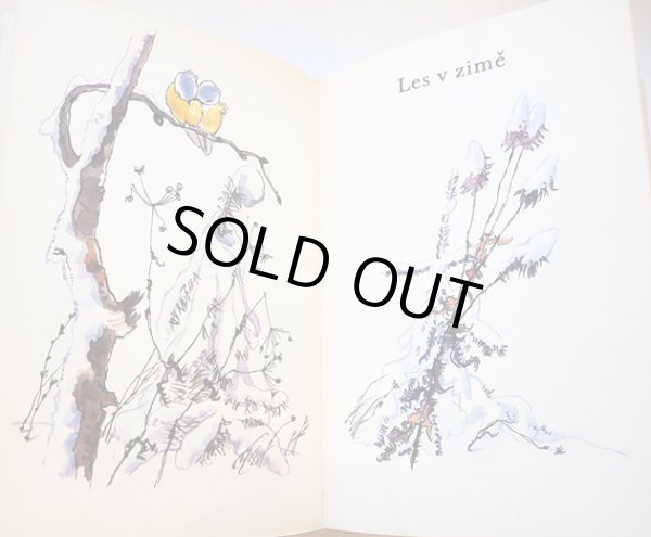 画像11: カレル・スヴォリンスキーKarel Svolinsky:絵 Karel Plicka, Frantisek Volf:著 /  Cesky rok Zima (チェコの四季 - 冬)<チェコ絵本> (11)