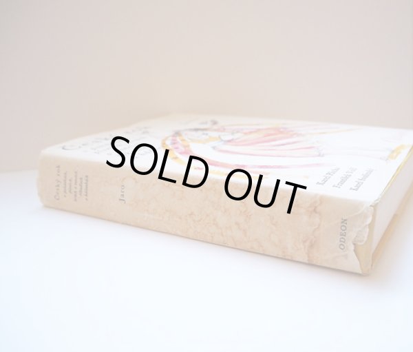 背表紙に破れと広範囲にシミがあります（厚みが約4cmあります。）