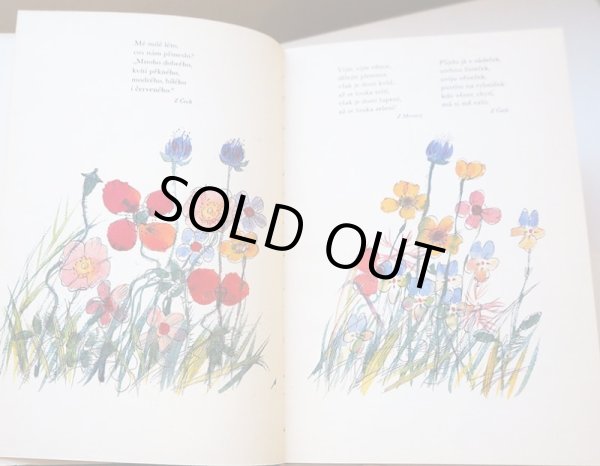 画像2: カレル・スヴォリンスキーKarel Svolinsky:絵 Karel Plicka, Frantisek Volf:著　/  Cesky rok Leto （チェコの四季 - 夏）＜チェコ絵本＞ (2)