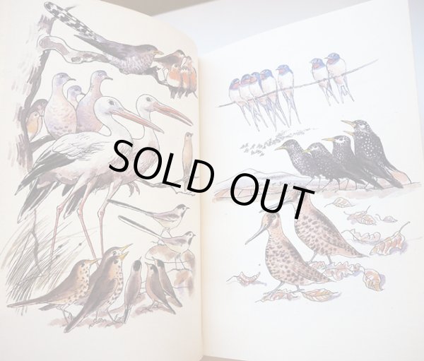 画像3: カレル・スヴォリンスキーKarel Svolinsky:絵 Karel Plicka, Frantisek Volf:著 /  Cesky rok Podzim (チェコの四季 - 秋)<チェコ絵本> (3)