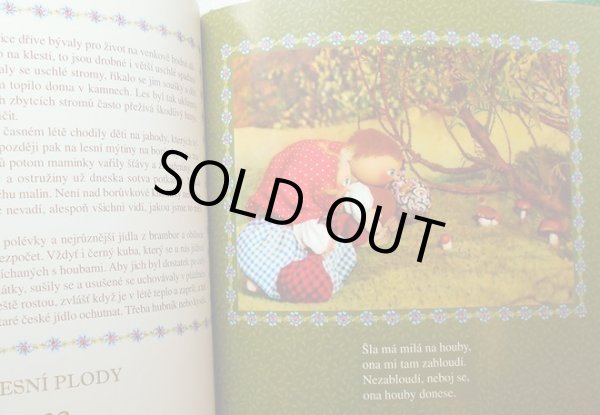 画像3: イジー・トゥルンカ Jiri Trnka:絵 Klara Trnkova:著 / CESKY ROK ＜チェコ絵本＞ (3)