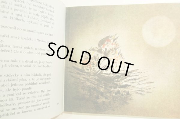 画像2: オタ・ヤネチェク Ota Janecek:絵 Rudolf Tesnohlidek:著 / Cimcirinek a chlapci ＜チェコ絵本＞ (2)