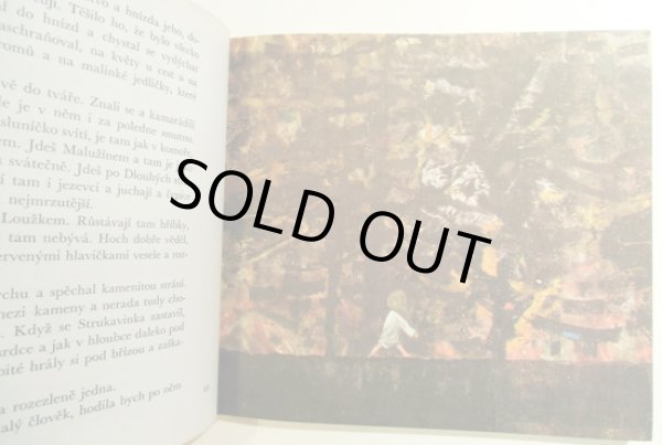 画像3: オタ・ヤネチェク Ota Janecek:絵 Rudolf Tesnohlidek:著 / Cimcirinek a chlapci ＜チェコ絵本＞ (3)