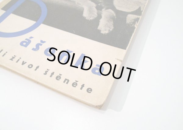 表紙の角の傷みと剥がれ傷があります。