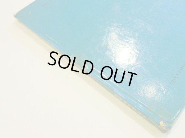 画像2: KAREL CAPEK:著・絵・写真 / DASENKA cili zivot stenete (2)