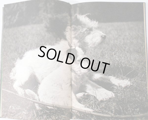 画像2: カレル・チャペック Karel Capek:著・絵・写真 / Dasenka cili zivot stenete 1970 (2)