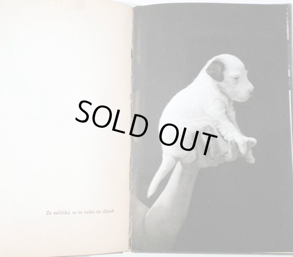 画像5: カレル・チャペック Karel Capek:著・絵・写真 / Dasenka cili zivot stenete 1970 (5)