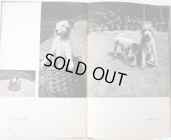 画像6: カレル・チャペック Karel Capek:著・絵・写真 / Dasenka cili zivot stenete 1970 (6)