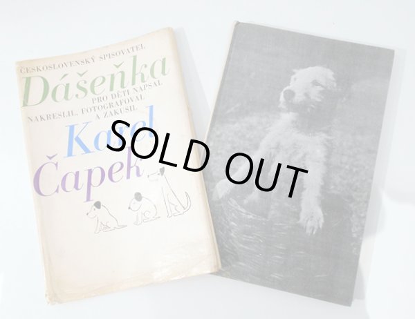 ダストカバーの下はダーシェンカの可愛らしい写真の装丁。