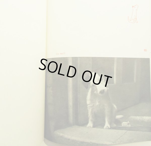 画像7: カレル・チャペック Karel Capek:著・絵・写真 / Dasenka cili zivot stenete 1942 (7)