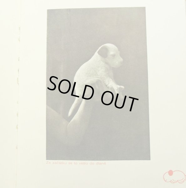 画像3: カレル・チャペック Karel Capek:著・絵・写真 / Dasenka cili zivot stenete 1942 (3)