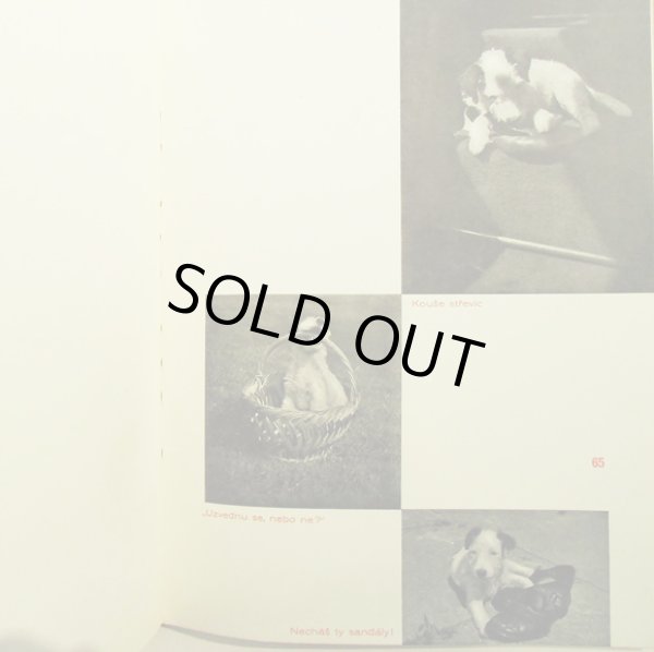 画像5: カレル・チャペック Karel Capek:著・絵・写真 / Dasenka cili zivot stenete 1942 (5)