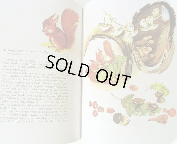 画像6: カレル・スヴォリンスキーKarel Svolinsky:絵 Michal Cernik:著　/ Karel Svolinsky - Dobry den, deti!　＜チェコ絵本＞ (6)