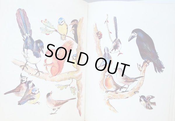 画像3: カレル・スヴォリンスキー Karel Svolinsky:絵 Josef Zeman:著 / Dobrodruzstvi veverky Zrzecky <チェコ絵本> (3)