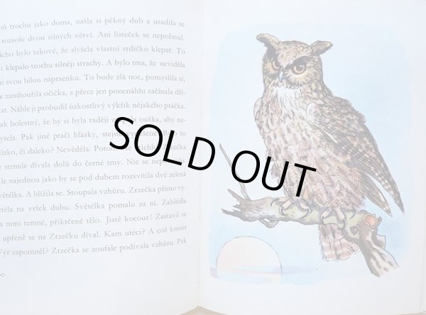 画像5: カレル・スヴォリンスキー Karel Svolinsky:絵 Josef Zeman:著 / Dobrodruzstvi veverky Zrzecky <チェコ絵本> (5)