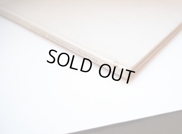 背表紙に凹み傷があります。(表紙の色褪せやシミがあります。)