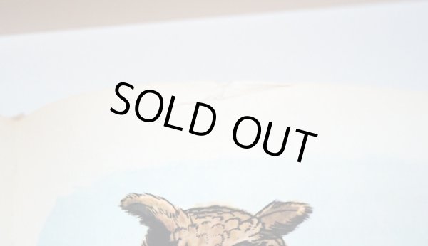 上部に破れ補修跡があります。