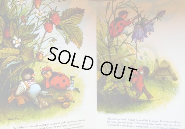 画像2: クバシュタ Vojtech Kubasta / Dobrodruzstvi broucka Slunicka <チェコ絵本> (2)