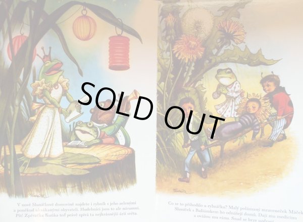 画像3: クバシュタ Vojtech Kubasta / Dobrodruzstvi broucka Slunicka <チェコ絵本> (3)