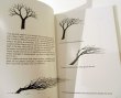 画像2: ブルーノ・ムナーリ Bruno Munari / drawing a tree 木をかこう (2)