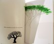 画像4: ブルーノ・ムナーリ Bruno Munari / drawing a tree 木をかこう (4)