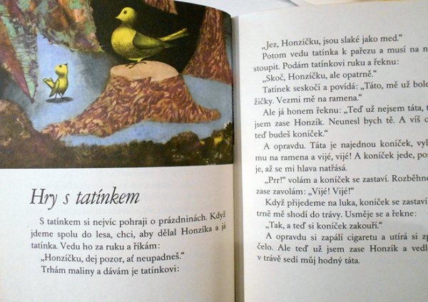 画像3: イジー・トゥルンカ Jiri Trnka:絵 Oldrich Syrovatka:著 / Duhovy svet <チェコ絵本> (3)