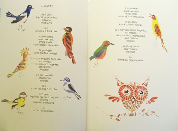 画像2: カス・ヤノシュ Kass Janos:絵 Kiss Benedek:著 / Fenneyl, futtyel (2)