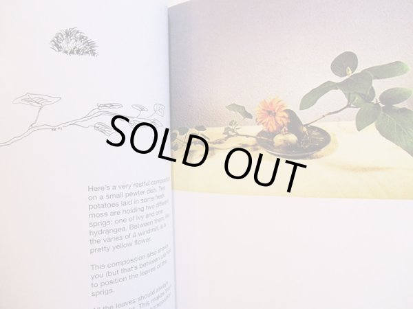 画像2: ブルーノ・ムナーリ Bruno Munari / a flower with love (2)