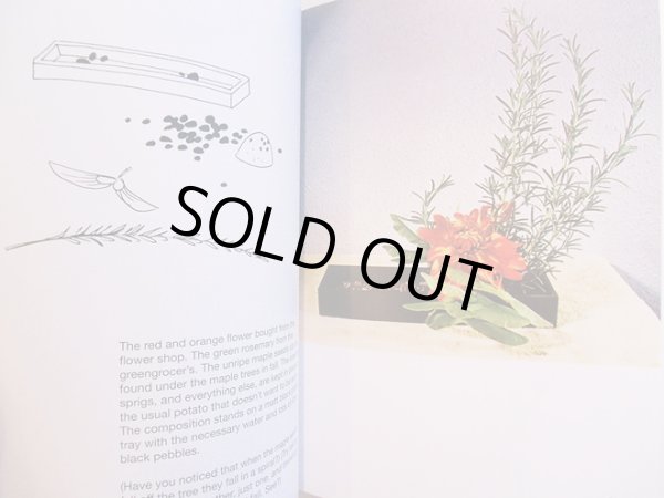 画像3: ブルーノ・ムナーリ Bruno Munari / a flower with love (3)