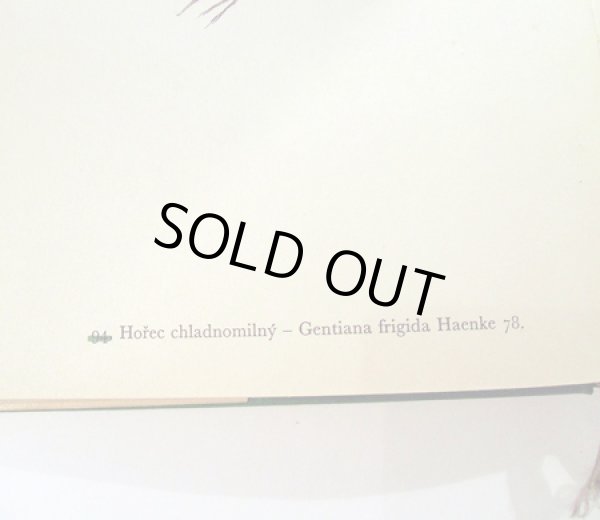 元々ナンバリングの補正跡があります。違うナンバーは緑の線で消して、右側に正しい数字が入っています。