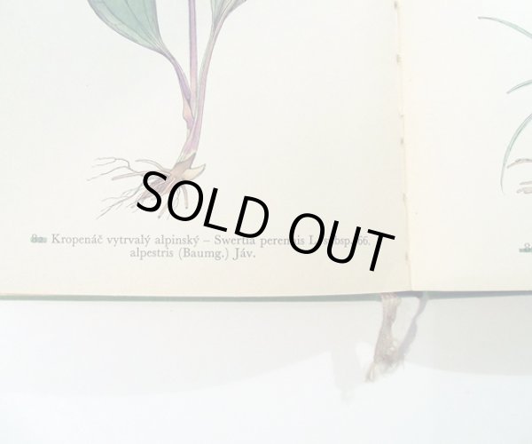 元々ナンバリングの補正跡があります。違うナンバーは緑の線で消して、右側に正しい数字が入っています。