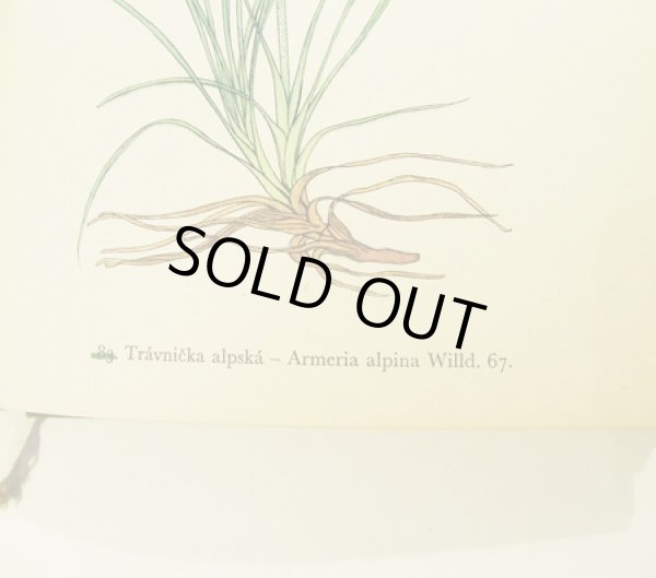 元々ナンバリングの補正跡があります。違うナンバーは緑の線で消して、右側に正しい数字が入っています。