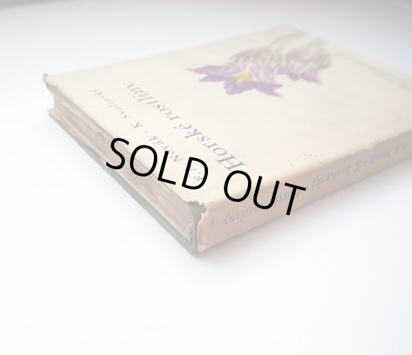 ダストカバーの破れがあります。