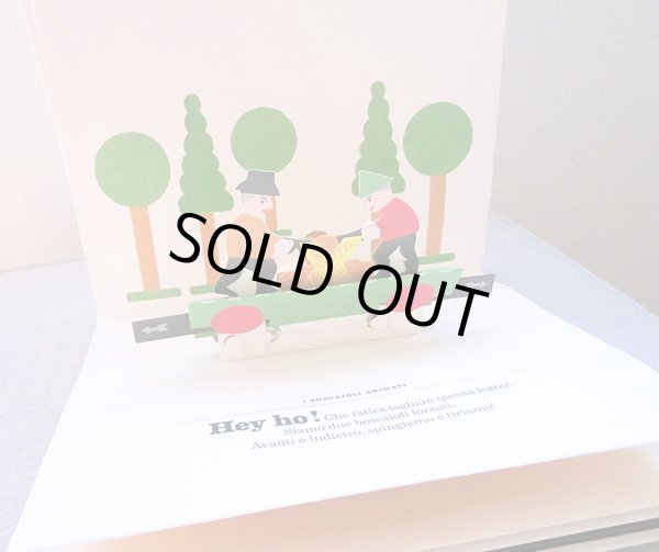 画像5: Gerard Lo Monaco / IL LIBRO DEI GIOCHI DI CARTA  (5)